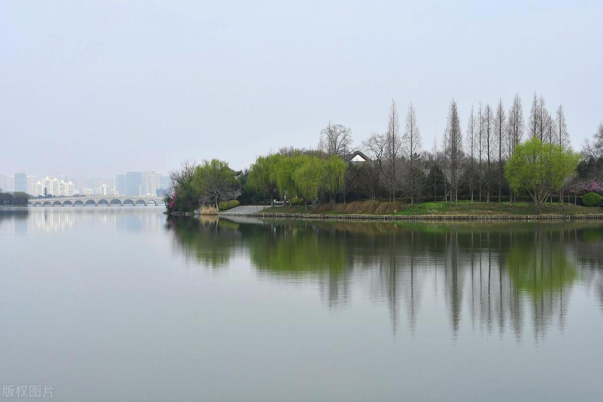 尼康z50和d7500有啥区别,尼康z50和佳能d7500如何选择