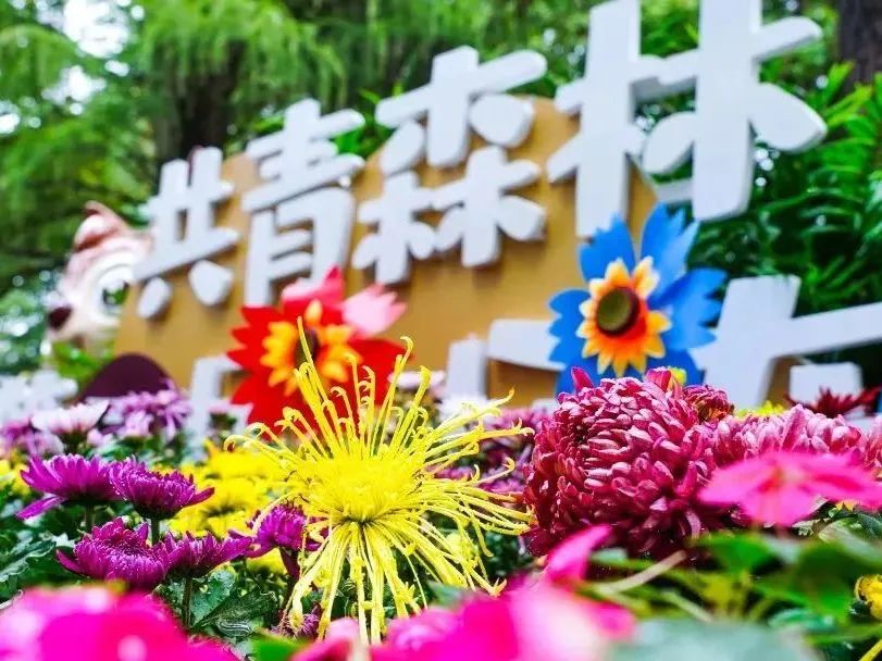 上海地铁直达的公园,上海最美公园地铁站