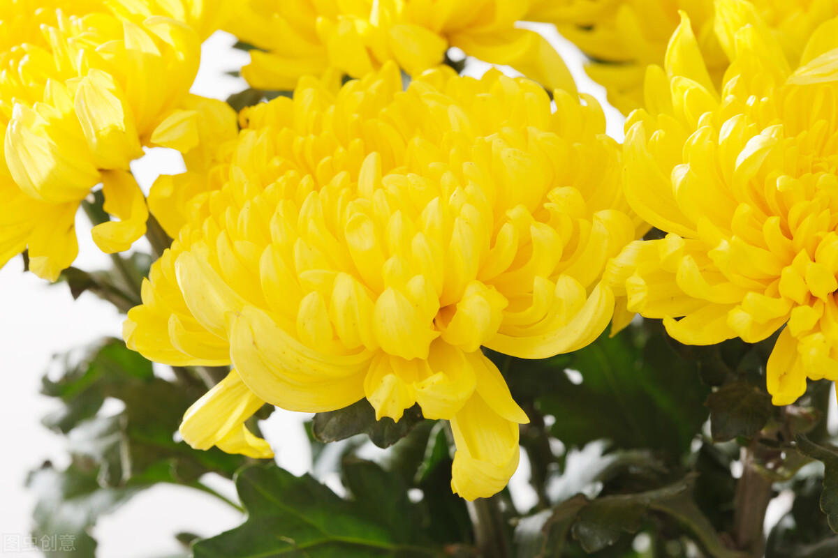 人生个性签名短句致自己,超精辟又简短的个性签名