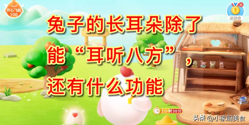 兔子的耳朵长有什么特点,兔子的耳朵除了长有什么特别