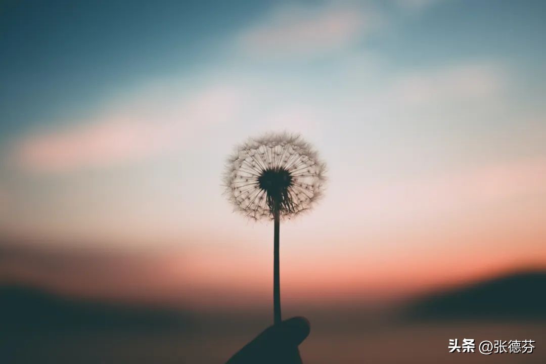 感觉身体疲惫怎么快速恢复,感到疲惫怎么快速缓解