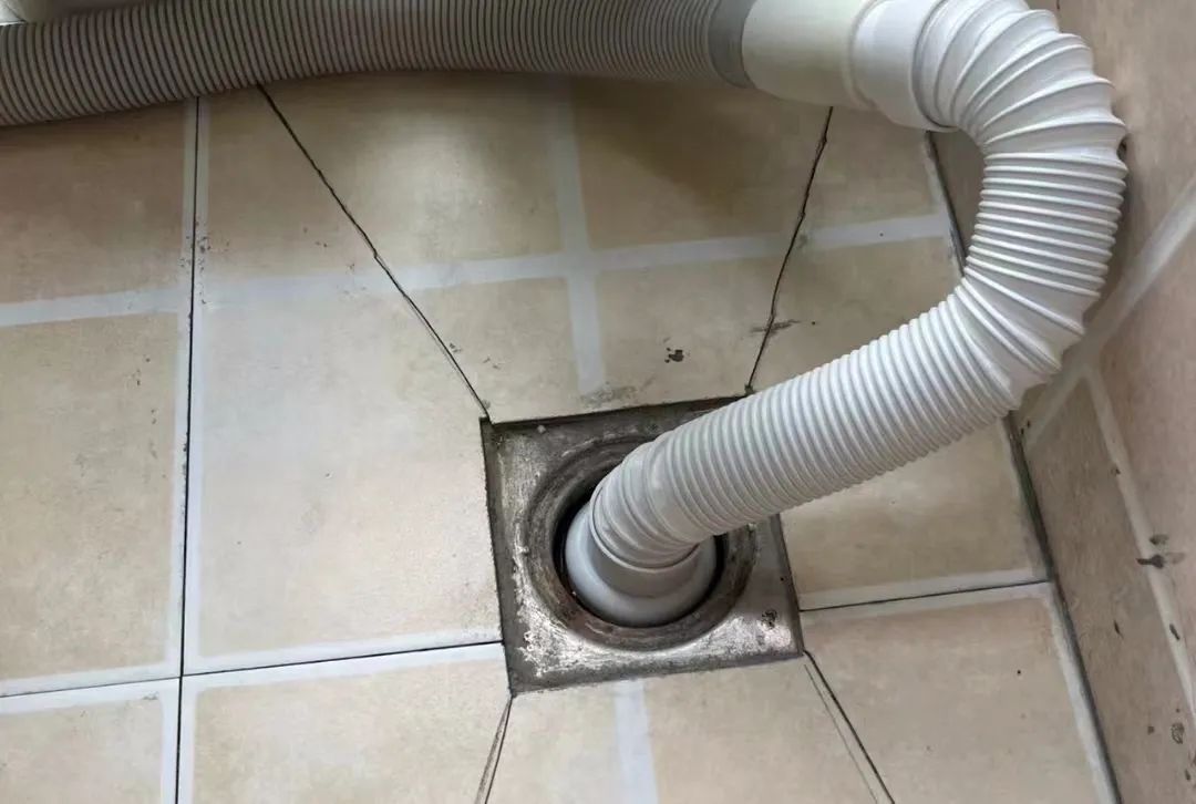 家里有蟑螂怎么办小技巧,家里有蟑螂怎么处理有最有效方法