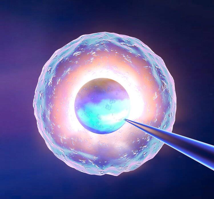 如果没有避孕多久会怀孕,如果女人不避孕一生能生几个