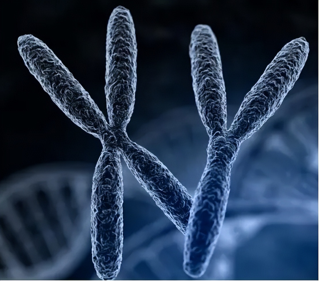 女子体内存在男女器官10年不敢回家，哪些原因导致？能治愈吗？