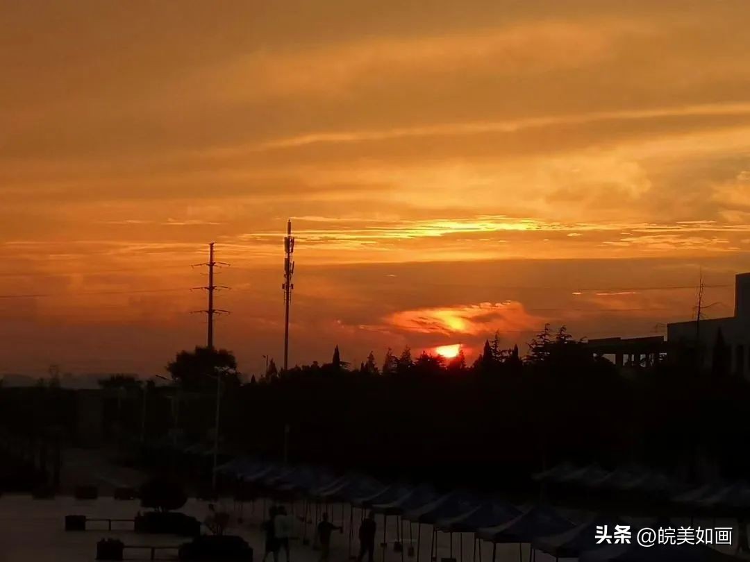 安徽大学好看的风景,高校最美秋景