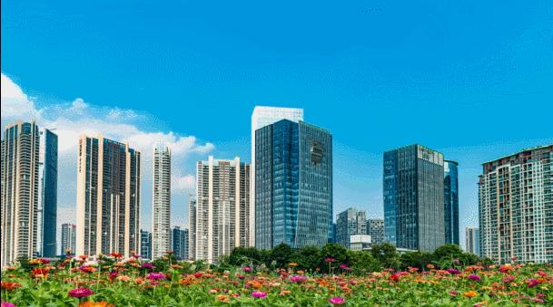 你好，我是宝安，这是我的新名片！