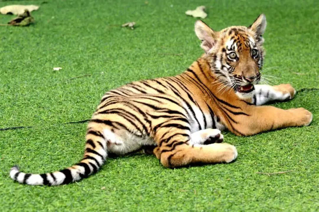 一次玩转韶关四大景区,一场深度体验游