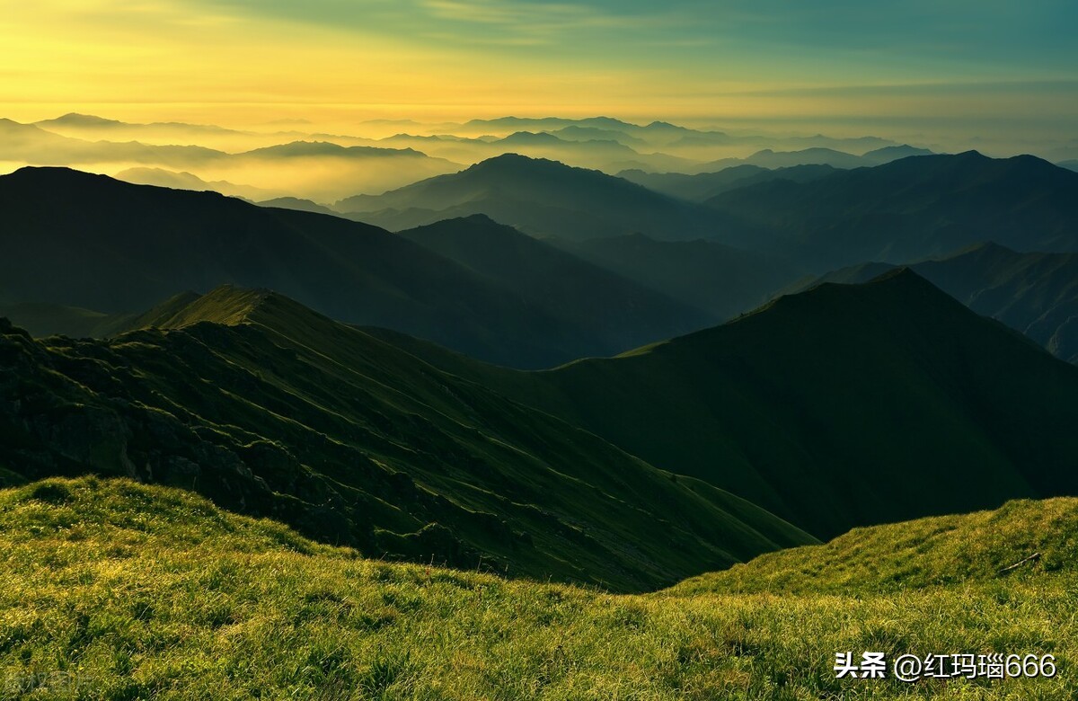 蔚县金河寺传说视频,蔚县金河寺的传说