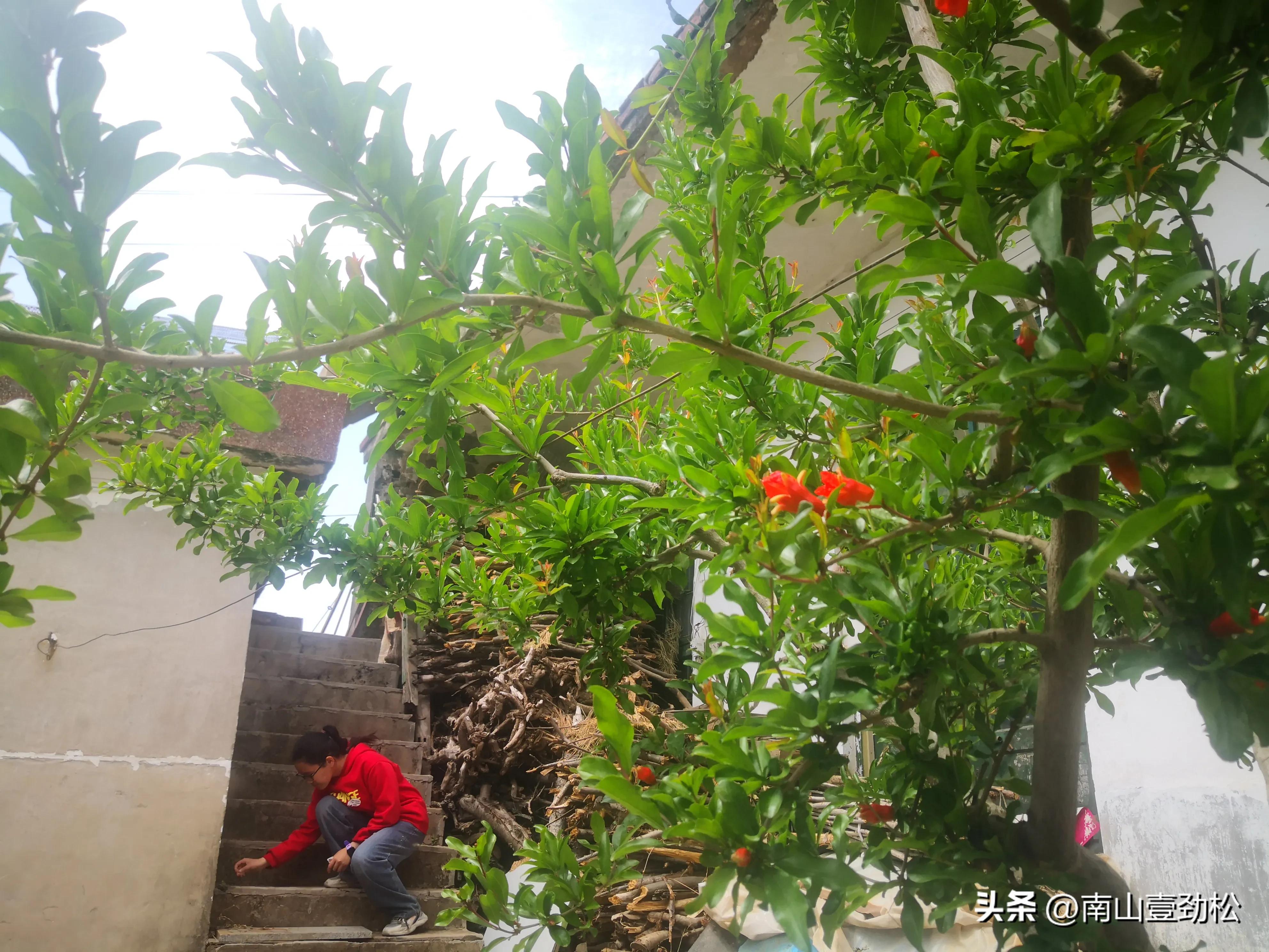 平邑景色美的地方,平邑值得一观的景点