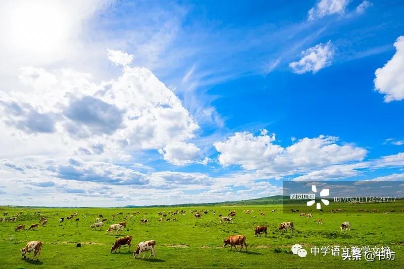 邓彤:合适的小说阅读和合适的小说教学