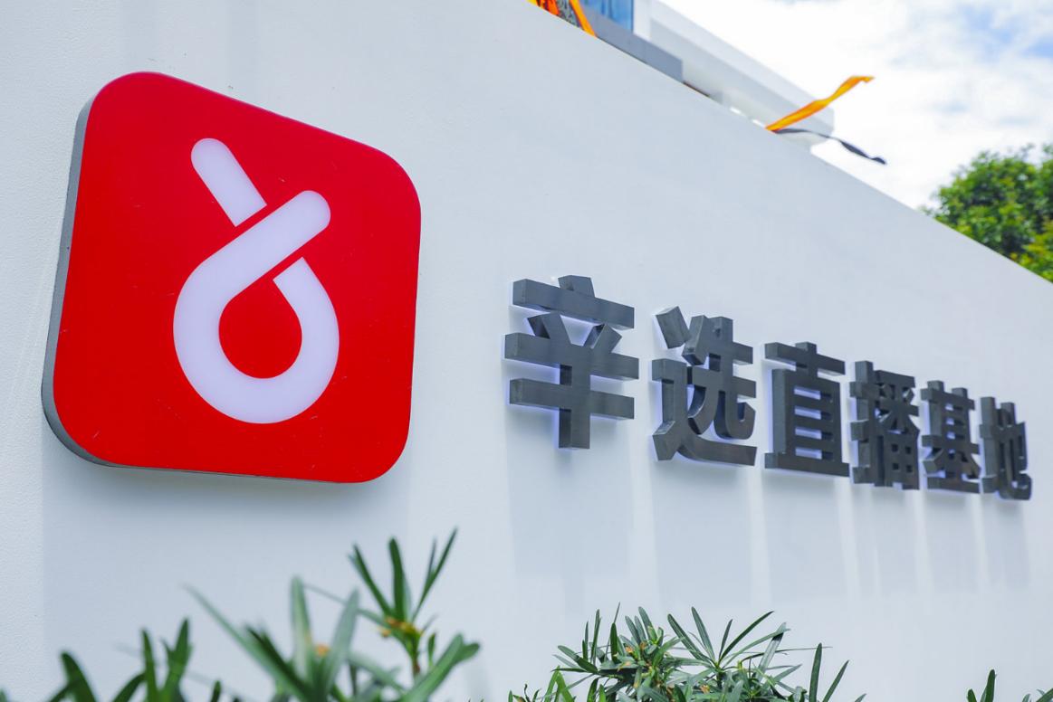 辛有志为农村发展提供辛选智慧，常德热情“杨”溢“梅”你不行