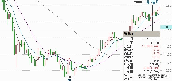 张裕股票分红,张裕b股为什么便宜