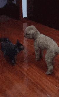 神回复P图,神回复自己的颜值