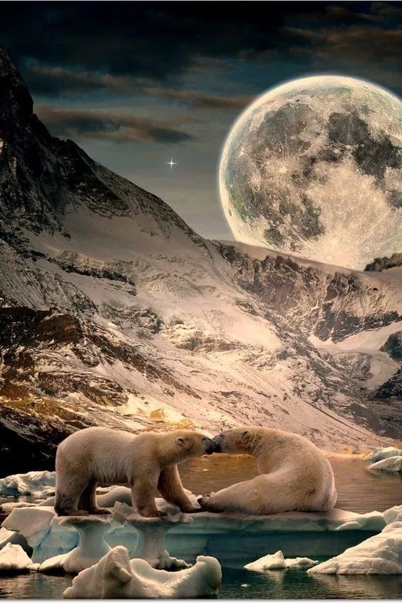 稀世景观,稀世景观震撼又壮观