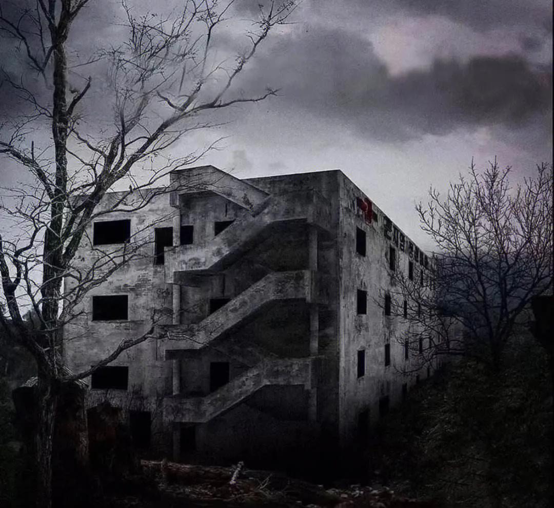 精神病院的5个夜晚,精神病院的电话是多少