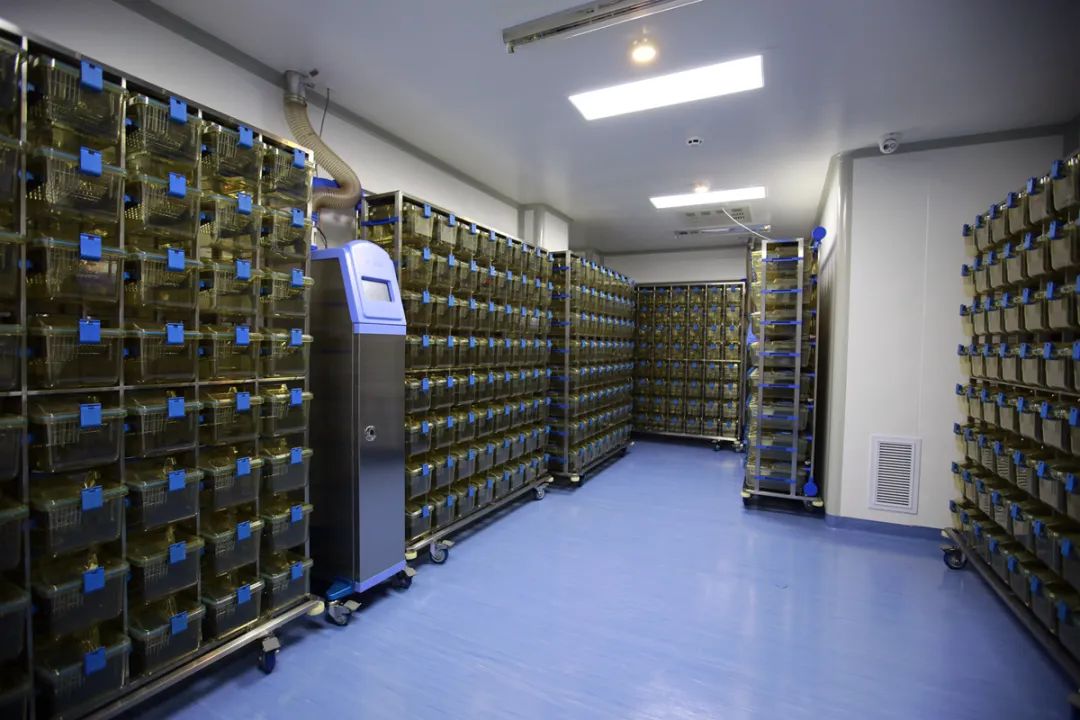 完美结合带来不一样的味道,完美结合