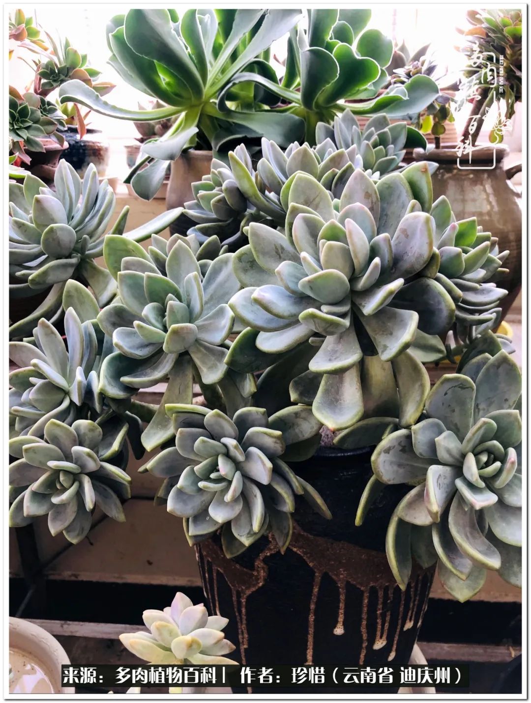 给生命一份淡然还岁月一份从容,给生命留一份洒脱的话