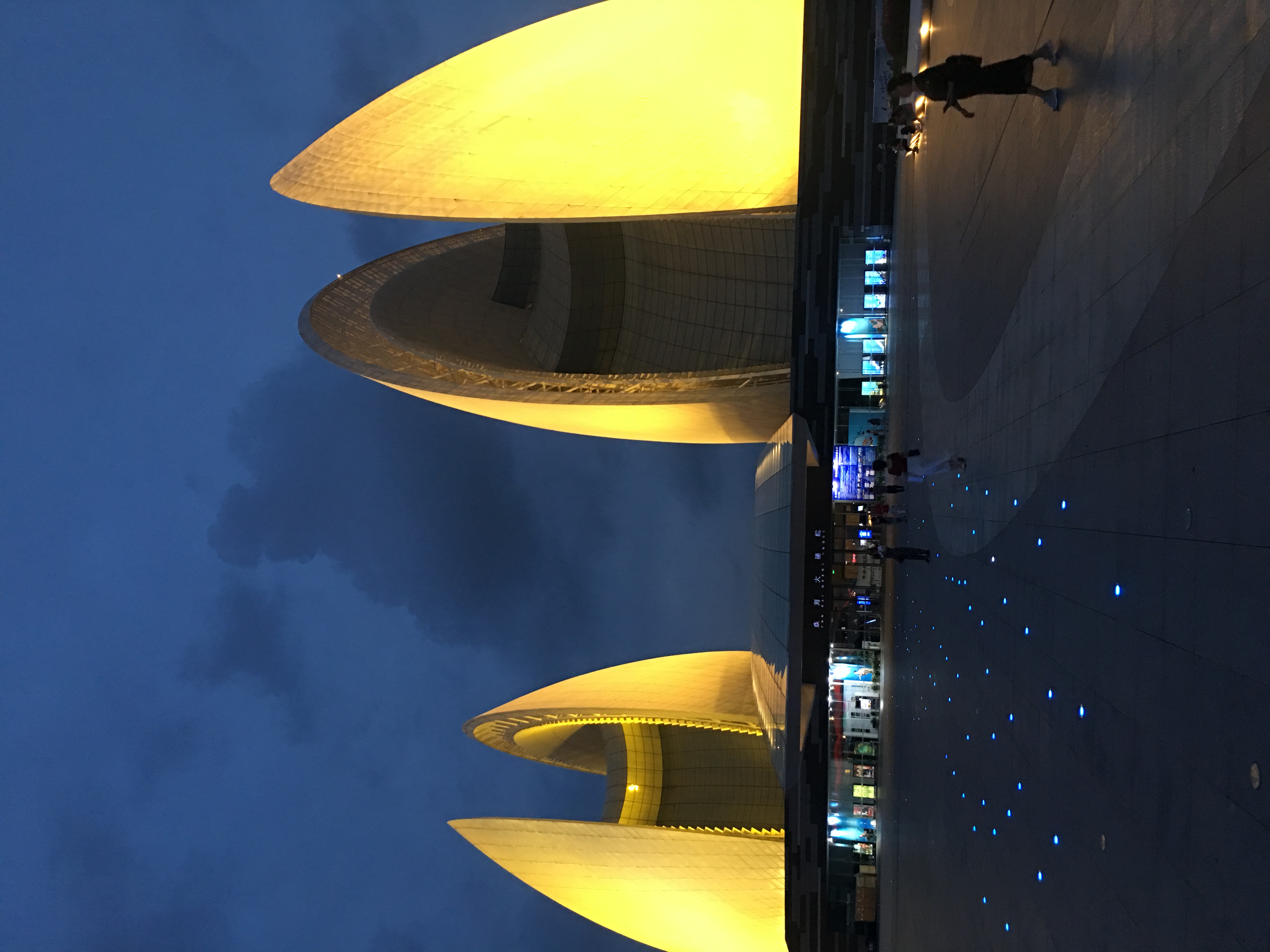 情迷珠海，最美海狸鸟