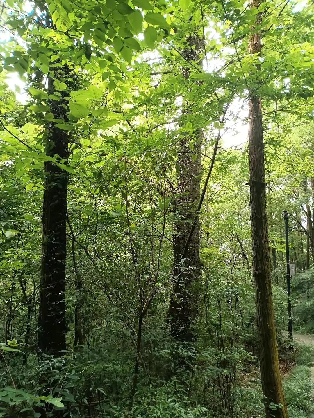 浙东古诗词,浙东唐诗有哪些