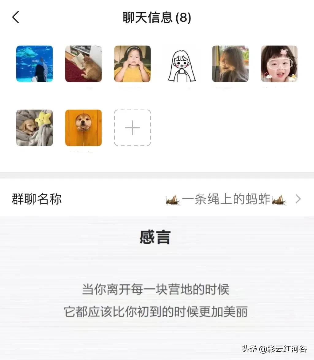 大学这四年我经历了什么,大学四年你最大的遗憾