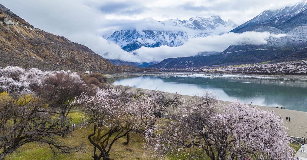 处女座和巨蟹座感情运势,塔罗牌巨蟹座2月16至22日运势