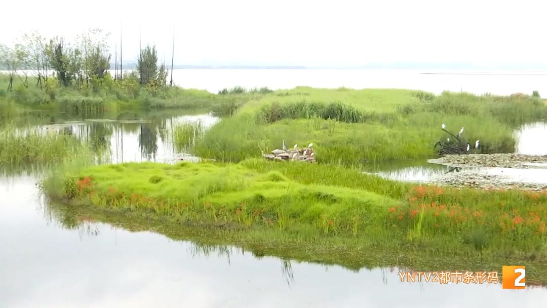昆明周边人少景美的地方,昆明附近三四小时车程好去处