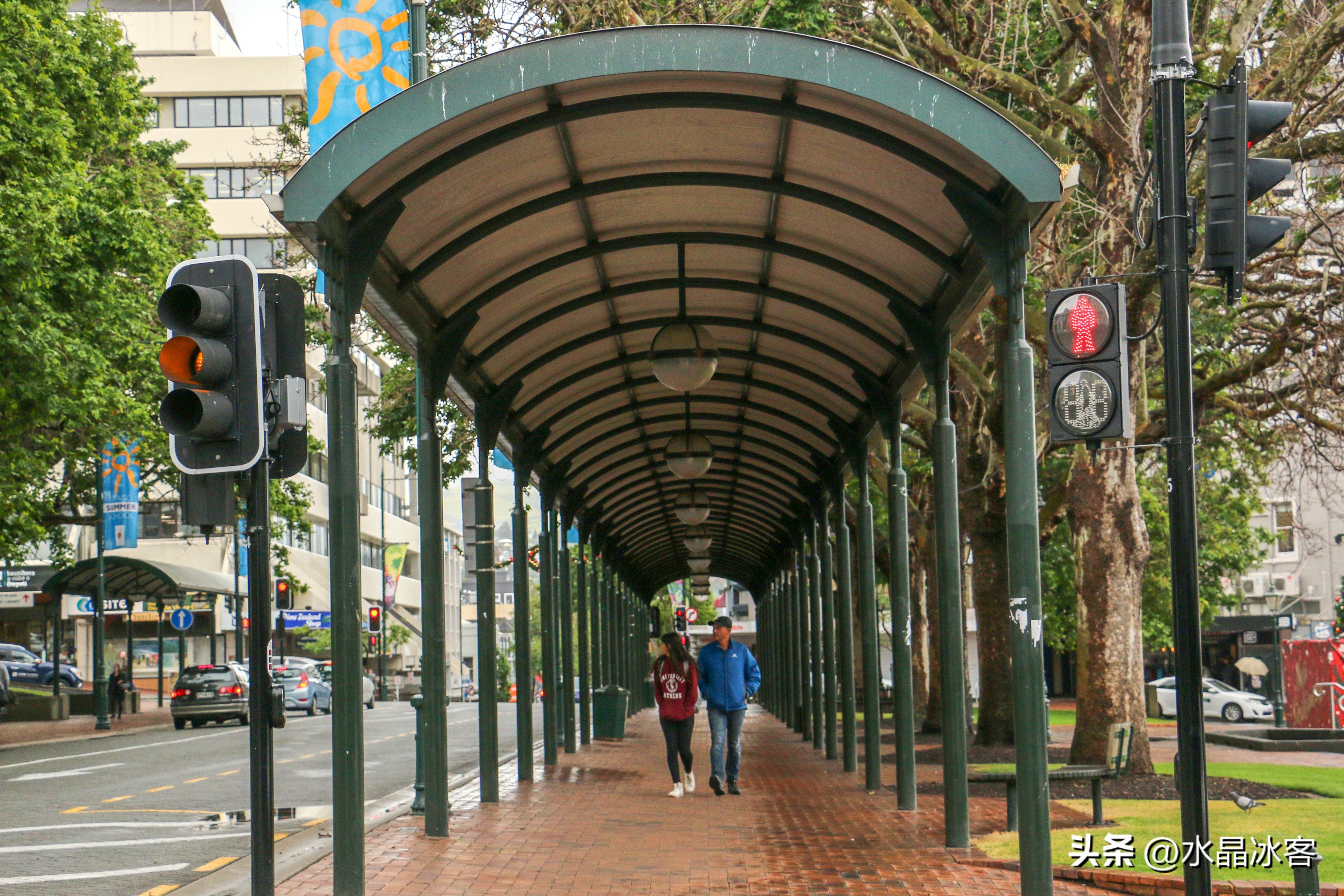 南岛新西兰之旅,新西兰之南岛