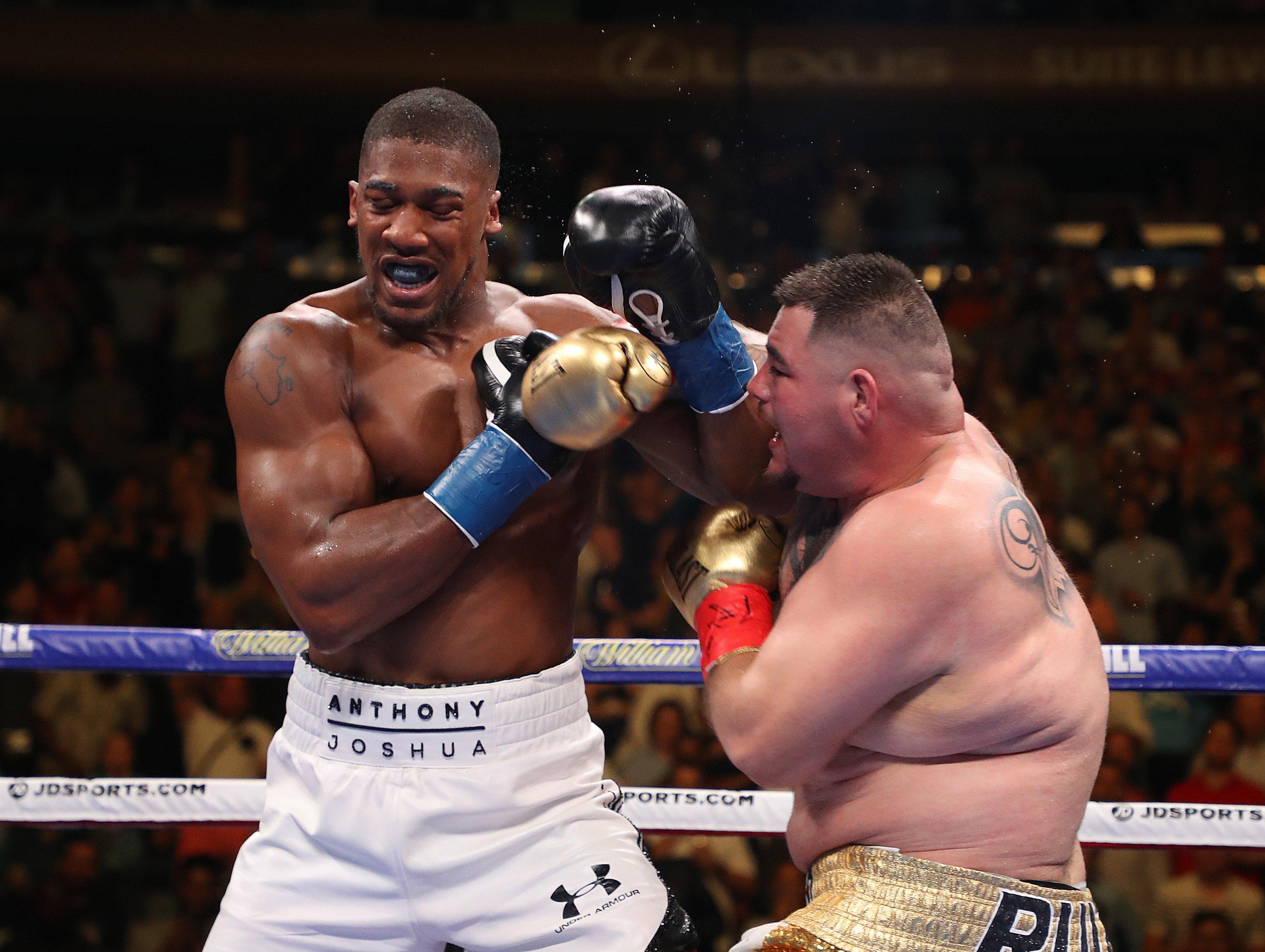 拳王约书亚输了几场,重量级拳王张君龙约书亚