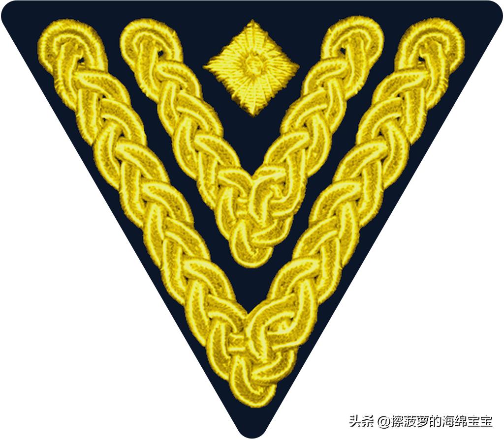 二战德国国防军医疗兵军衔标志