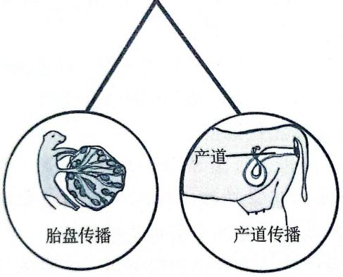 动物传染病主要内容,动物传染病介绍