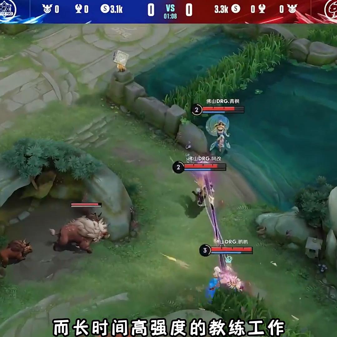 教练的重要性,教练重要性短句