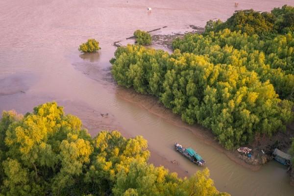 湾区光影魅力,南沙湾区超美风景线