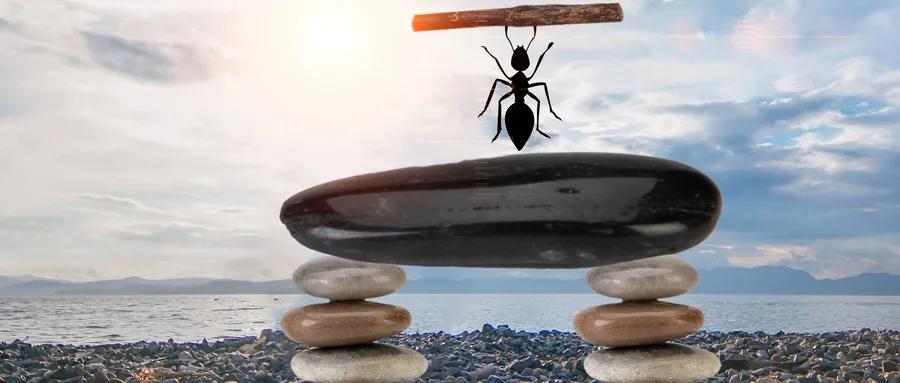 那些又熬过一年的旅行社从业者们