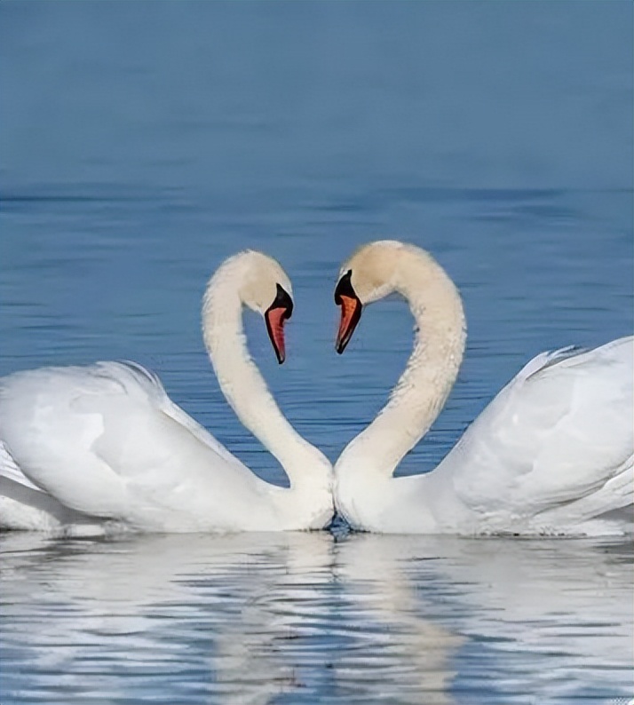 向北向北！|“美”在内蒙古