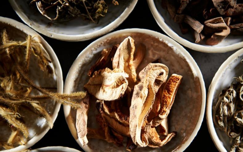 血脂高从脾胃化浊入手,治疗脾胃虚弱血脂高的方子