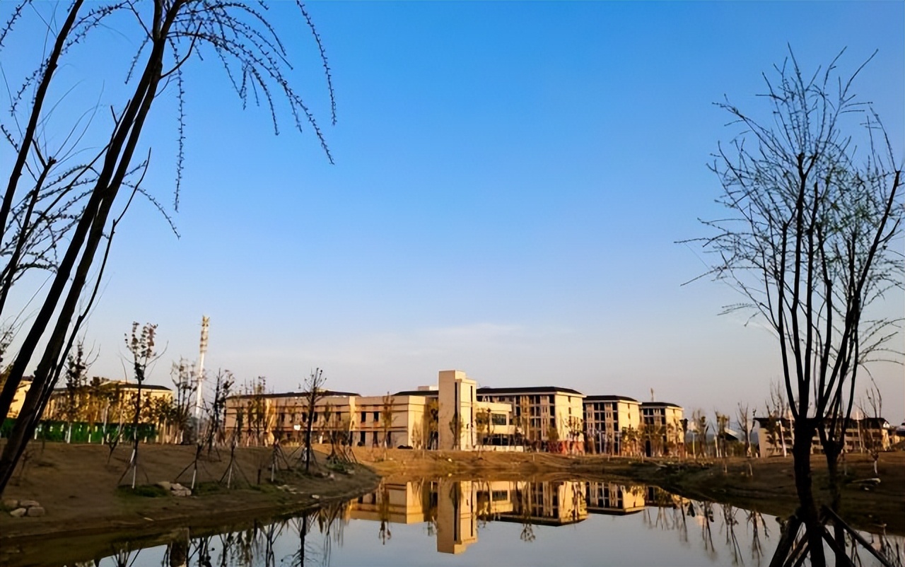 景德镇学院什么专业好,景德镇艺术学院王牌专业