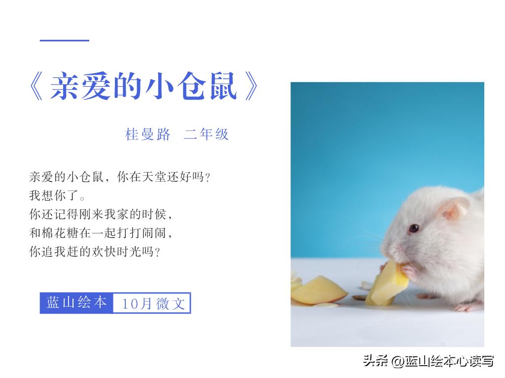 精彩生活，文字守护：蓝山绘本2022年10月微文月赛作品展示