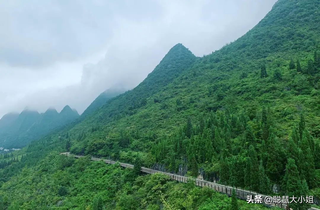 贵州兴义万峰林油菜花盛开时期,贵州兴义风景区万峰林