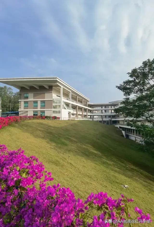 中国知网是纯独立外资，网友：我*载下**自己的论文还要付费