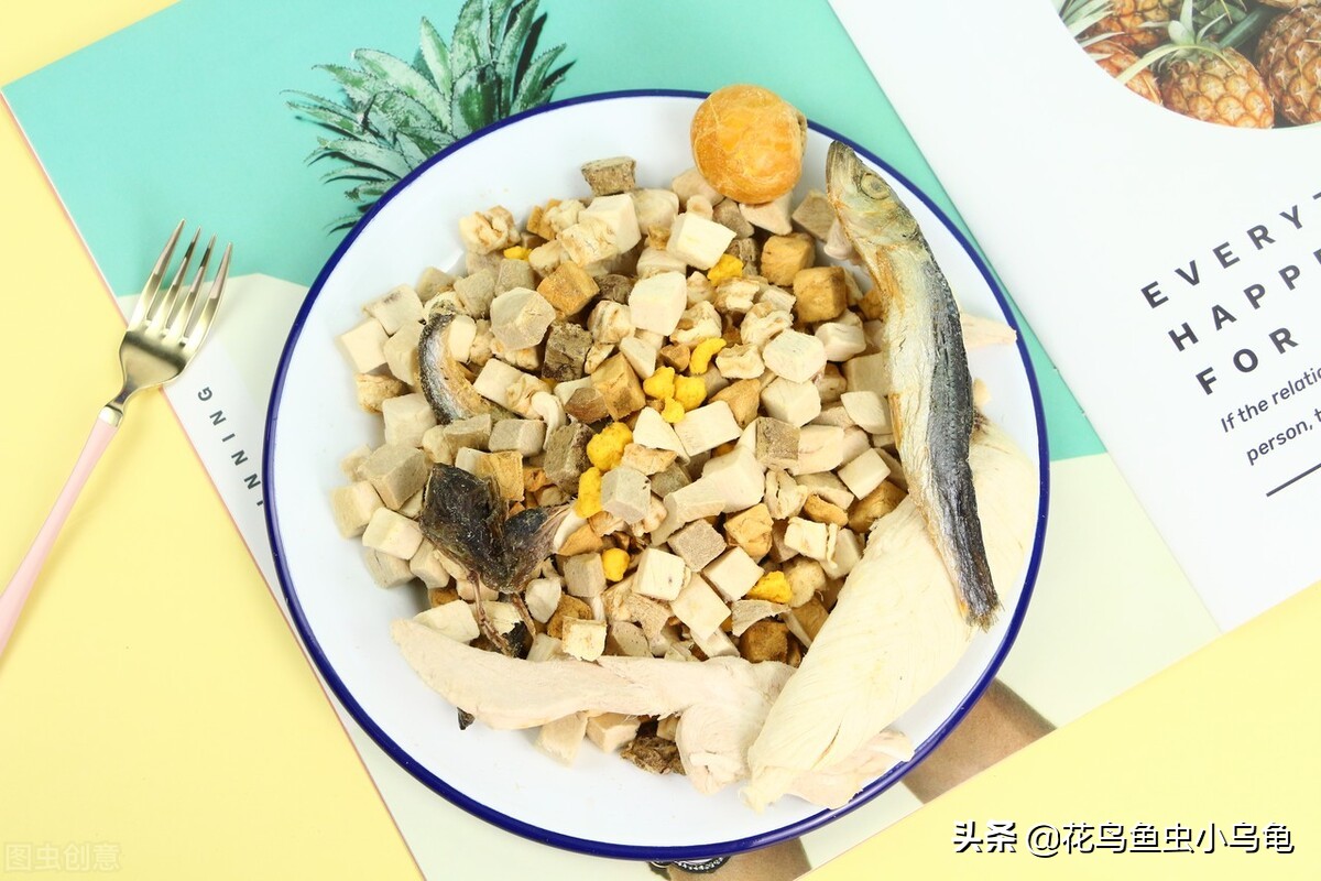 小乌龟应该吃些什么,小乌龟喂什么给它吃啊