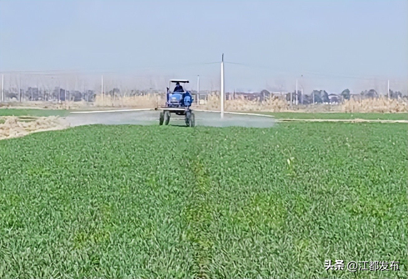 百名记者走基层,记者走基层五朵金花