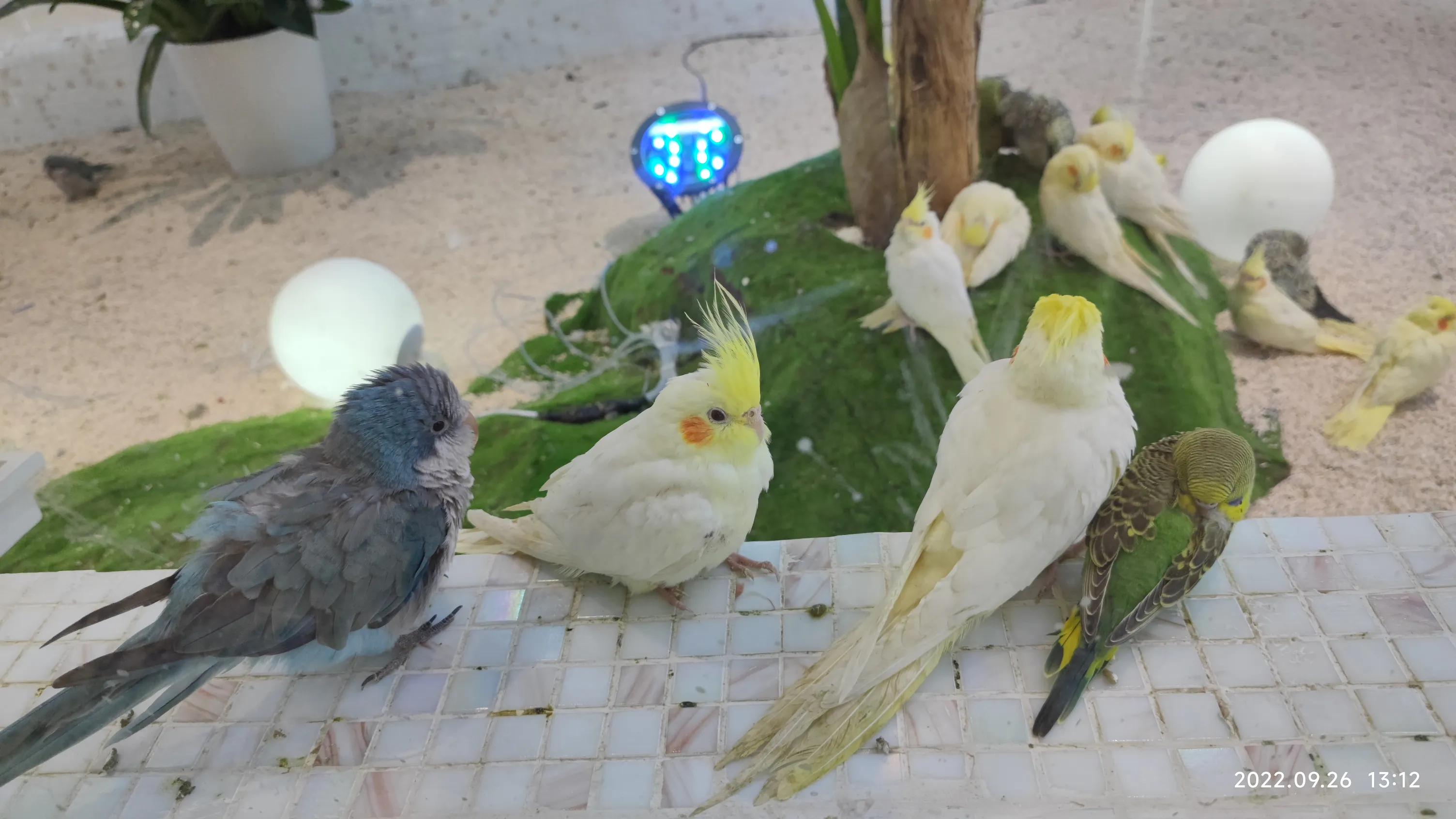 深圳宝安杉杉奥特莱斯最新活动,宝安松岗杉杉奥特莱斯