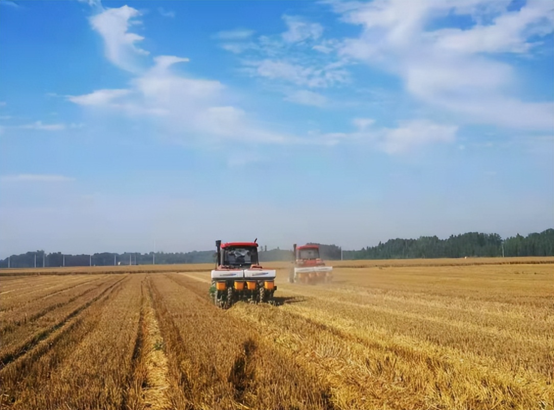 农业产业周报|盒马鲜生、优然牧业、北大荒、锅圈汇最新动态