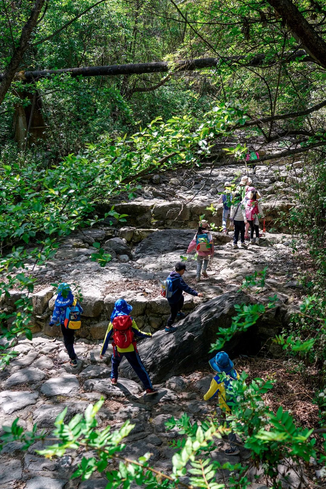 这个8月，在大理躺平的年轻人开始告别