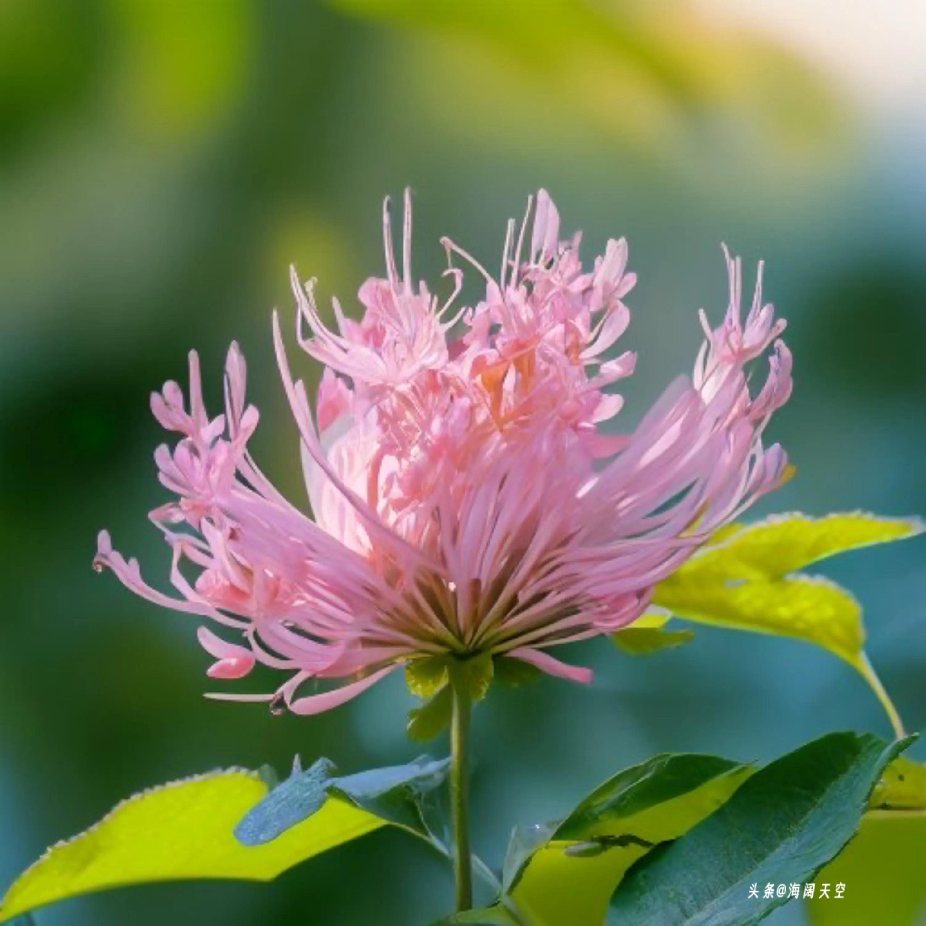 未来什么职业最吃香,未来哪些职业更稳定