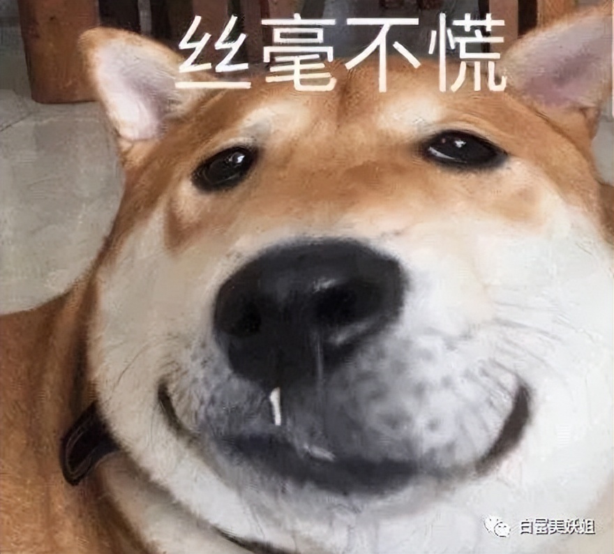 一年涨1000万粉丝的网红,19年瞬间涨粉1000万的网红