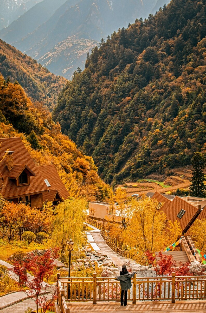 亚洲第一个美食之都,亚洲十大自驾游攻略最新