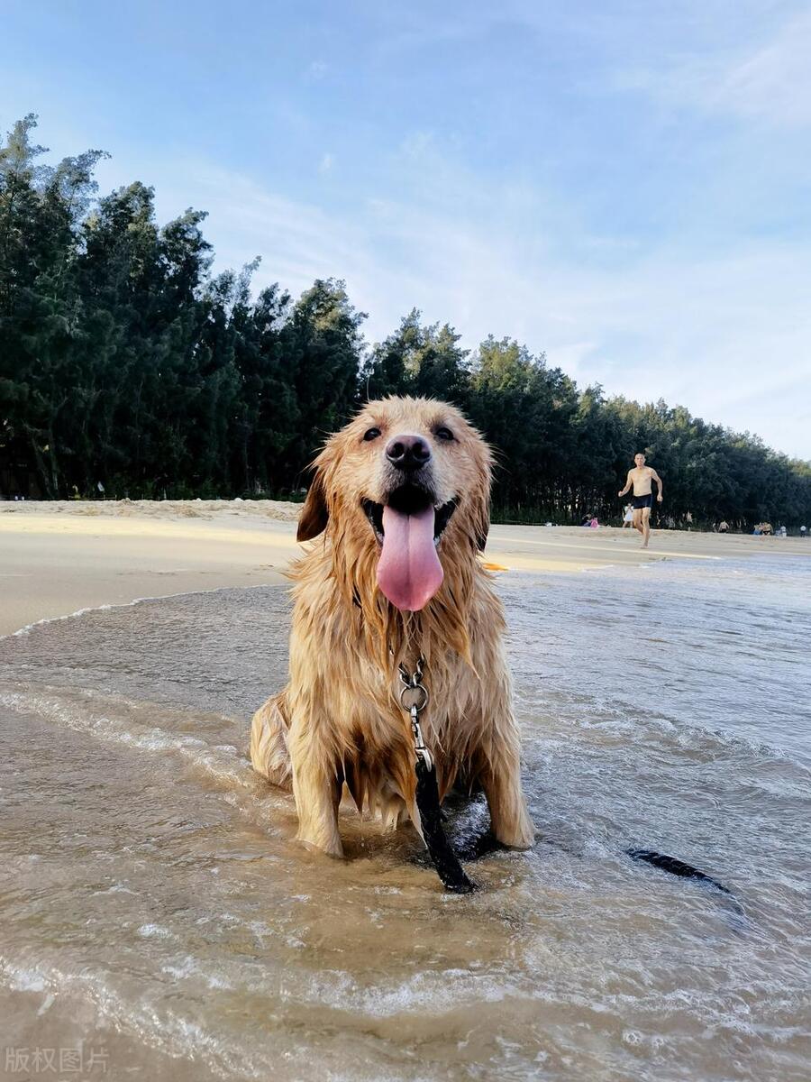 漳州有个全国十大最美海岛,漳州十大海滩排名