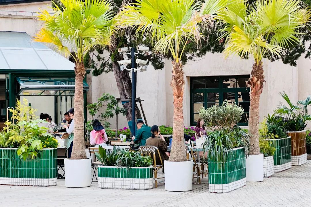 kolon最新款,kolon虎年新款