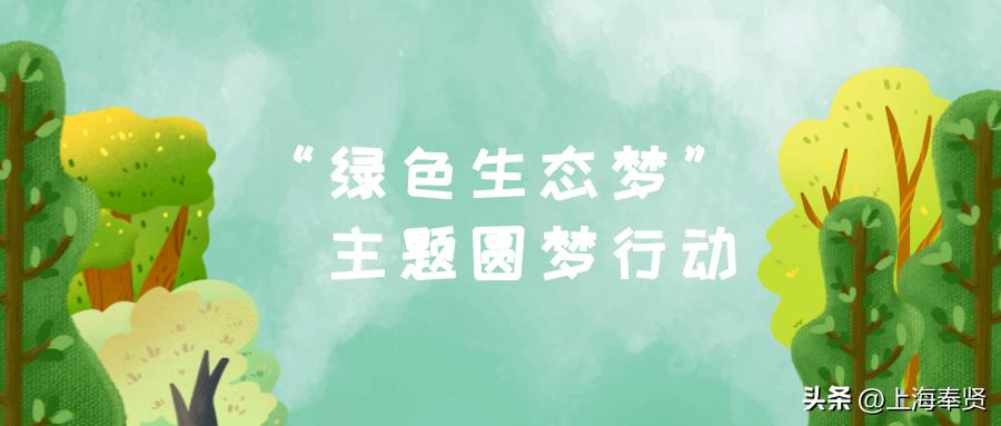 绿色生态圆梦,绿色环保梦主题实践活动方案